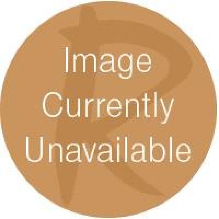 Rosalie Twin Panel Bed - Image 12