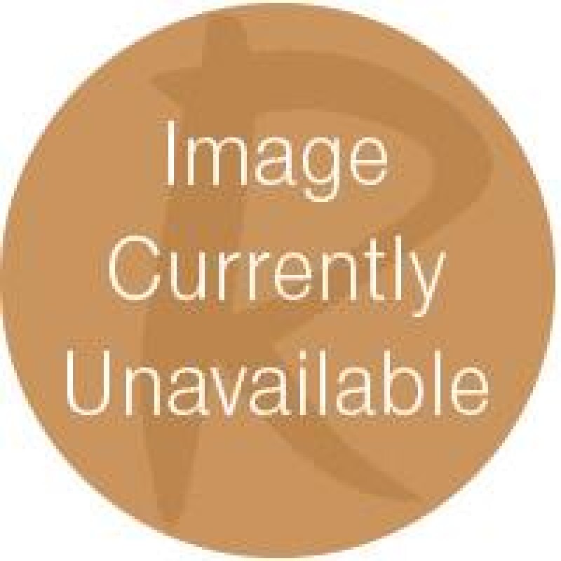 Rosalie Twin Panel Bed - Image 12